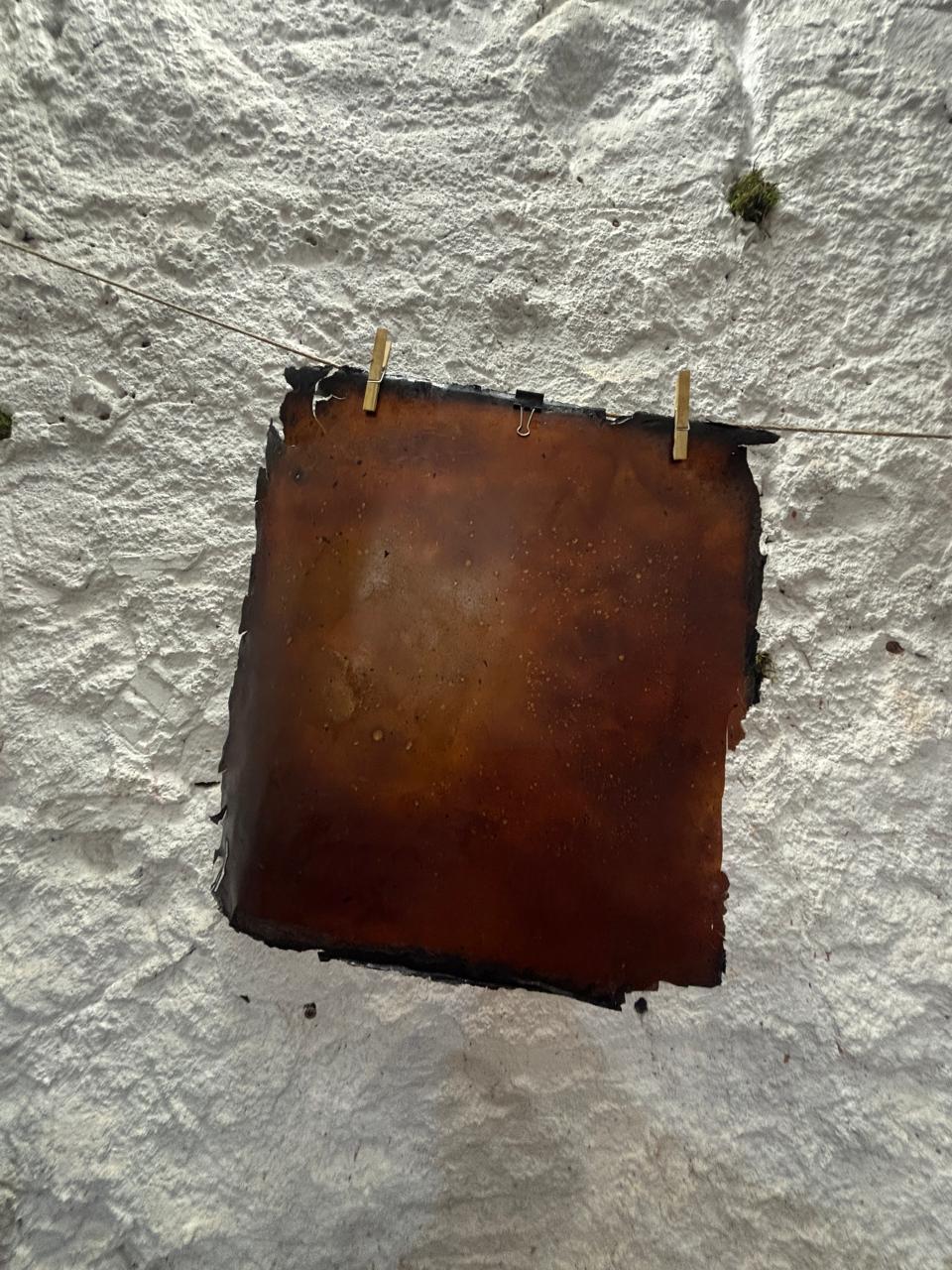 Material & Graphic Research — Image 7