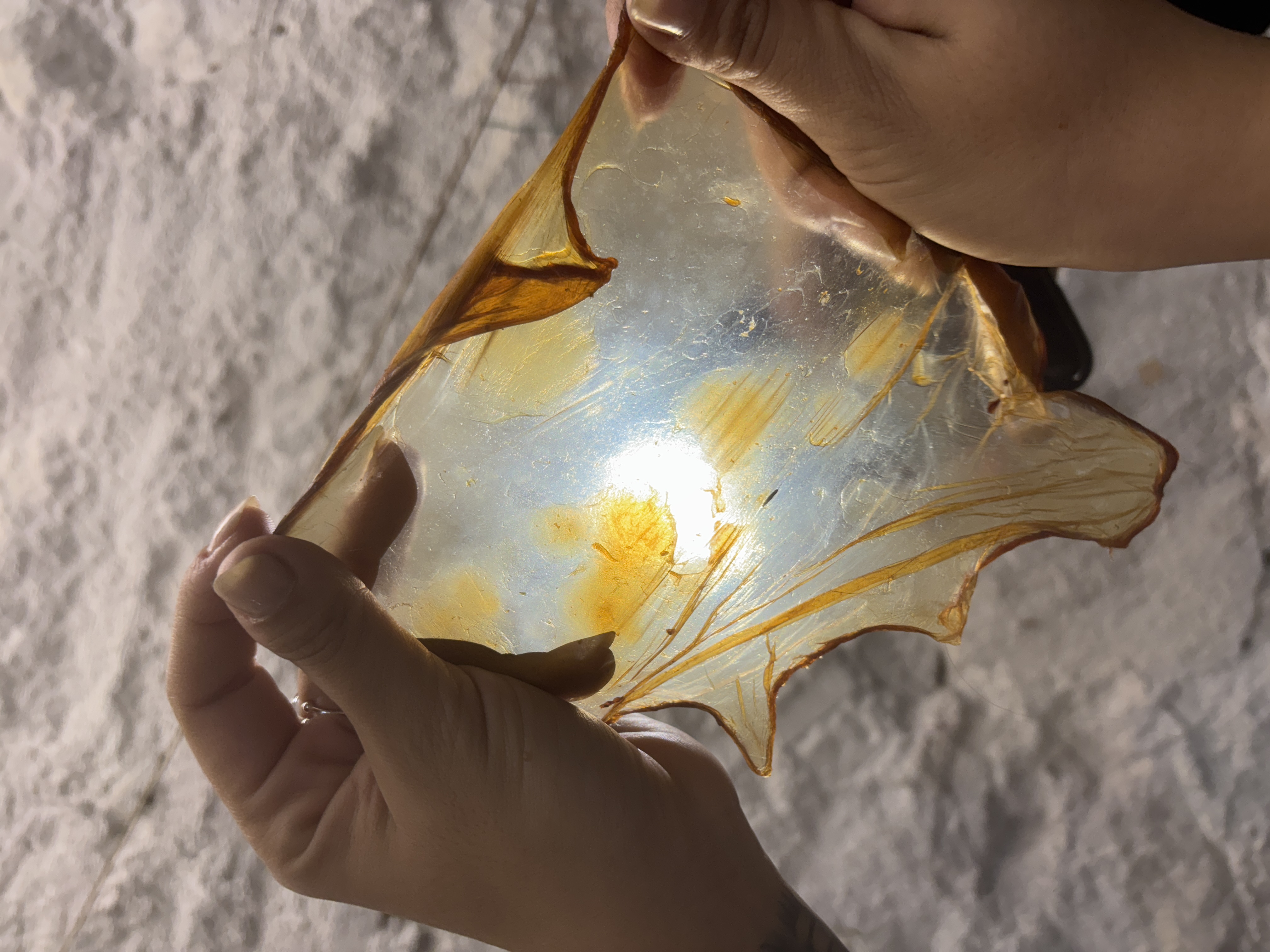 Material & Graphic Research — Image 1