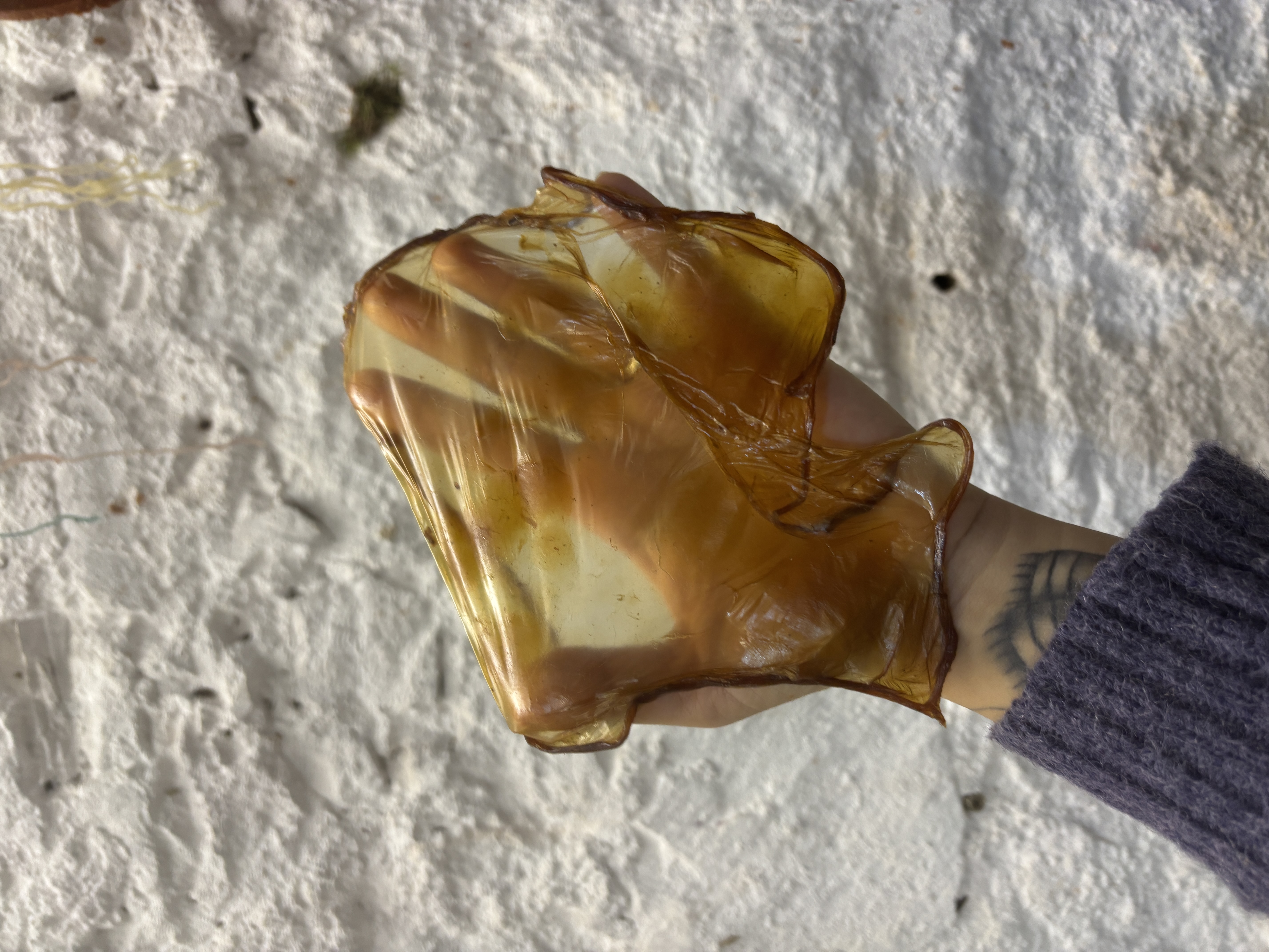 Material & Graphic Research — Image 3